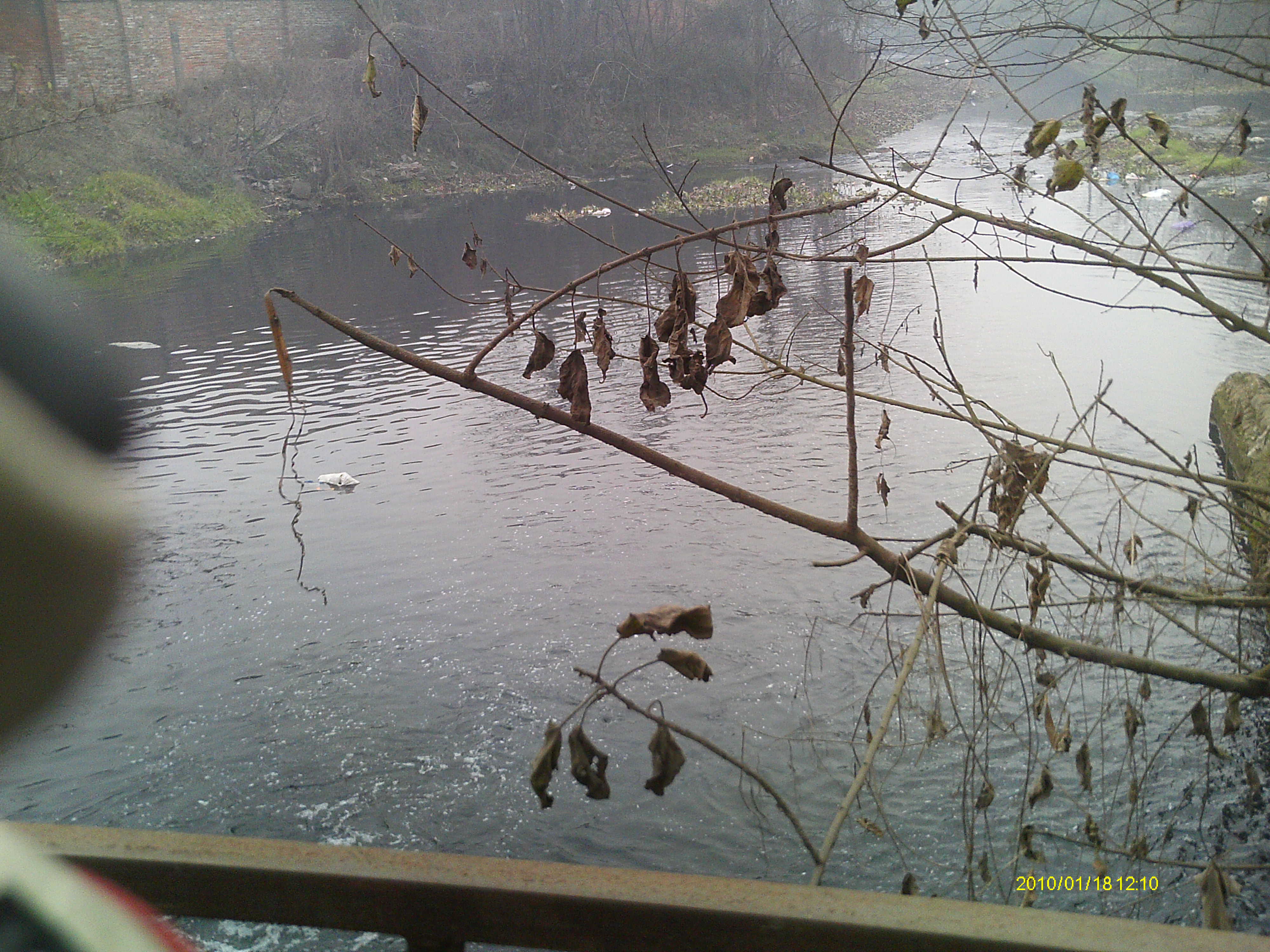 IMAG0187.JPG