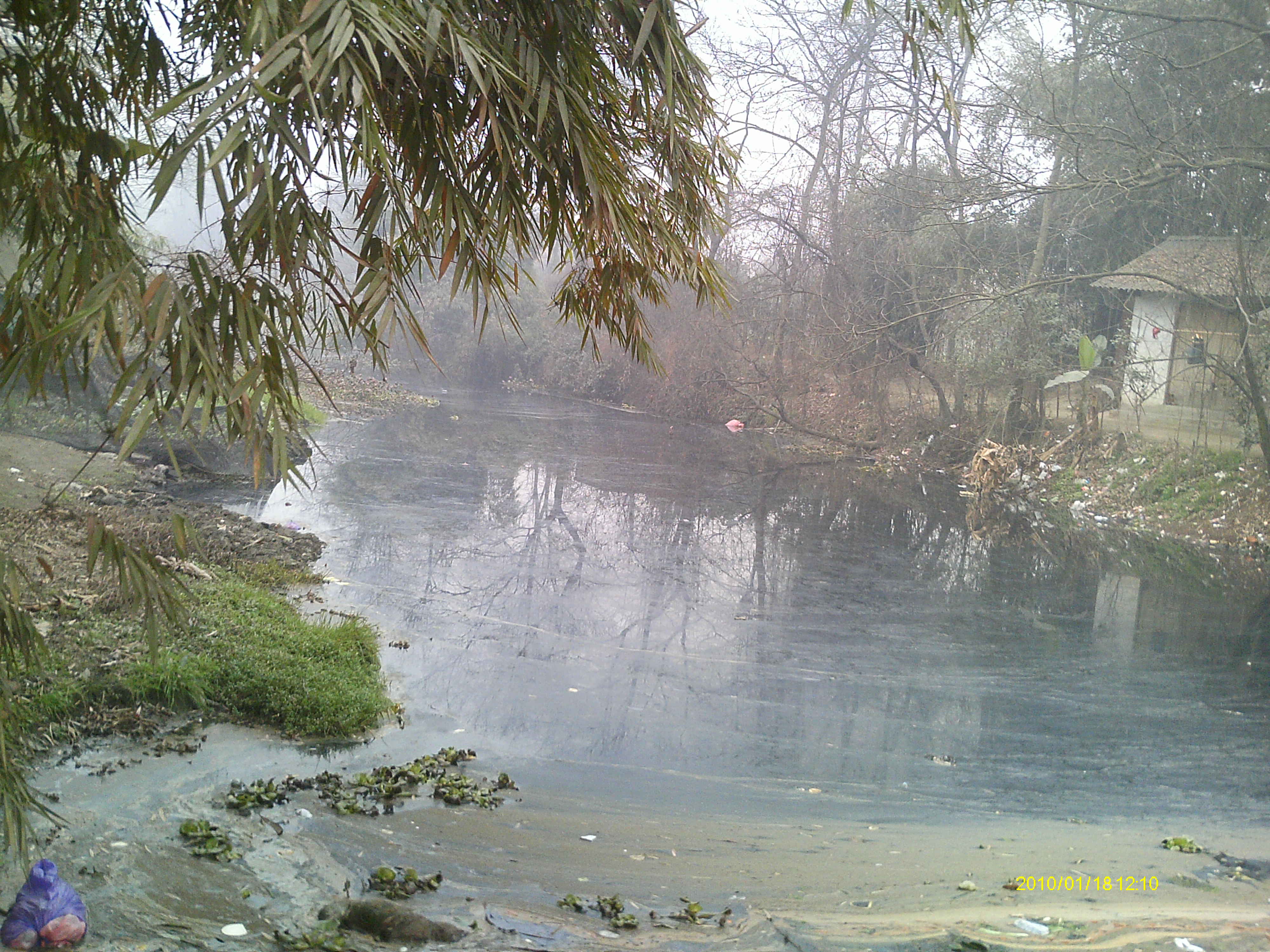 IMAG0189.JPG
