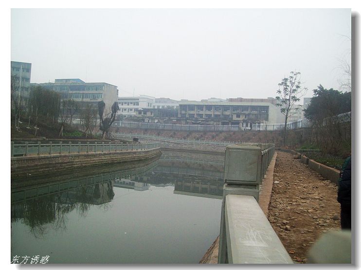 Ƭ 015.jpg