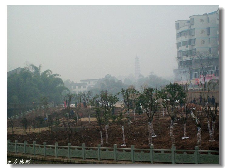 Ƭ 042.jpg
