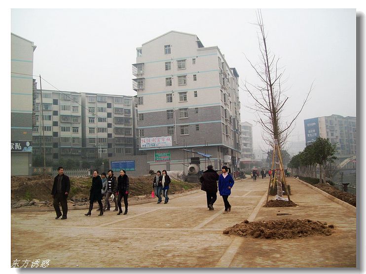Ƭ 055.jpg