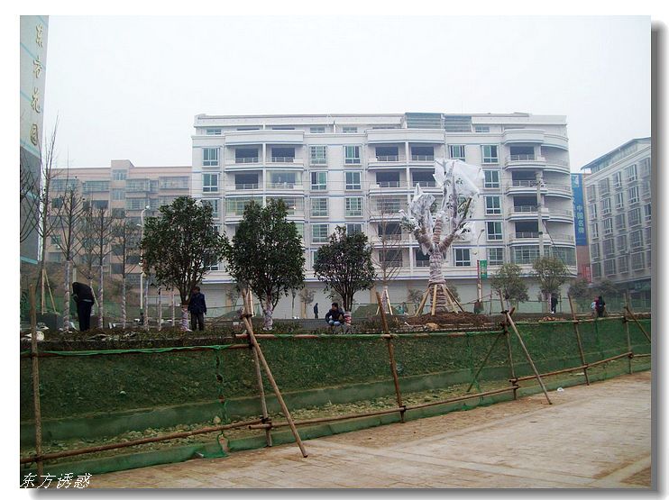 Ƭ 063.jpg