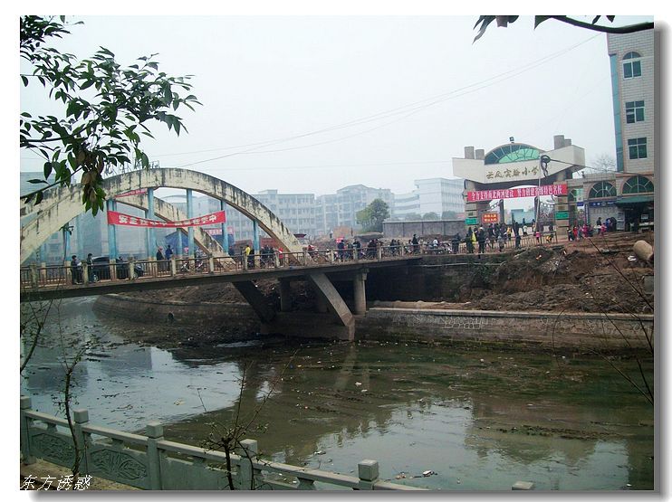 Ƭ 065.jpg