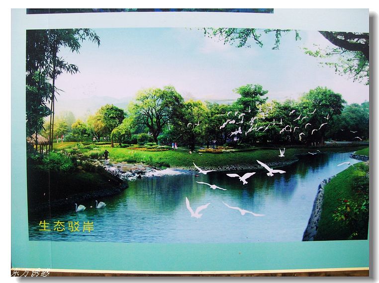 Ƭ 008.jpg