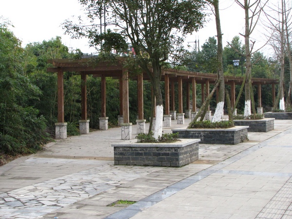 b5.jpg