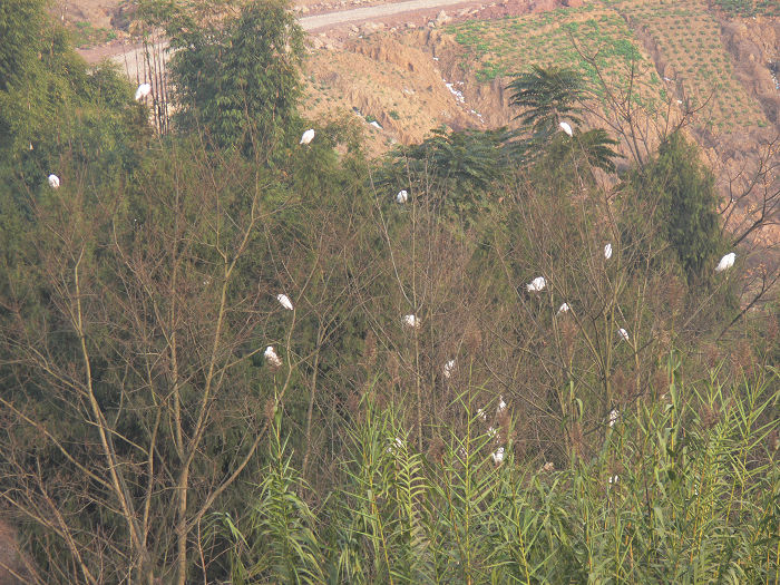 P1360244.JPG