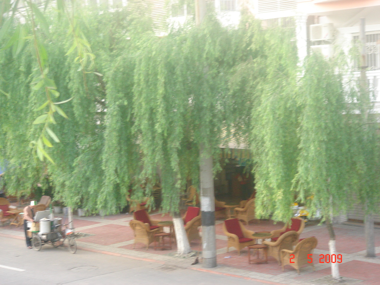 DSC01926.JPG