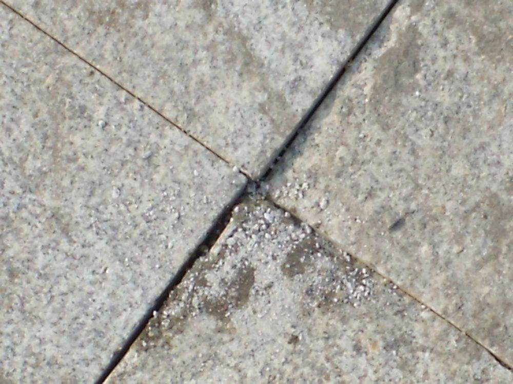 DSCF3993.JPG