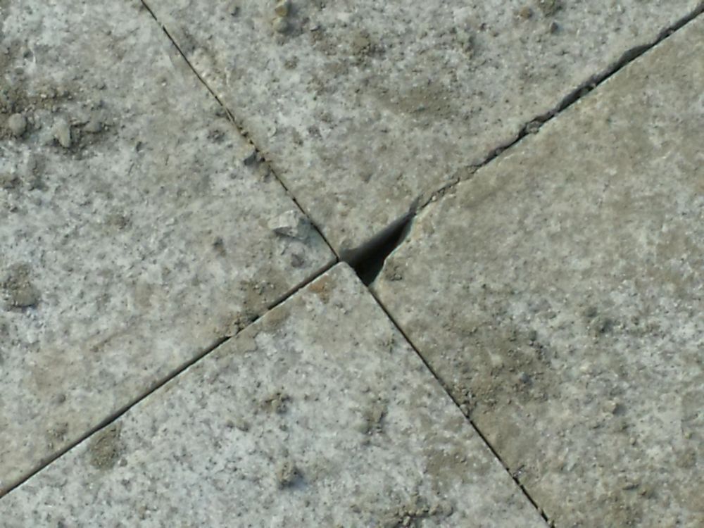 DSCF3992.JPG