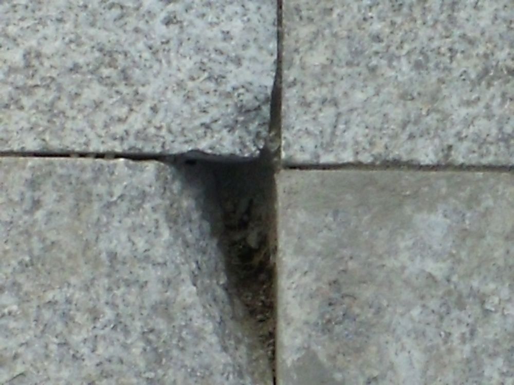 DSCF4003.JPG