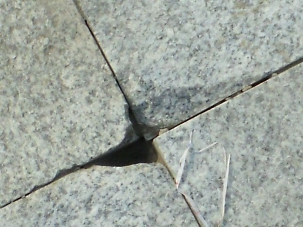 DSCF3999.JPG