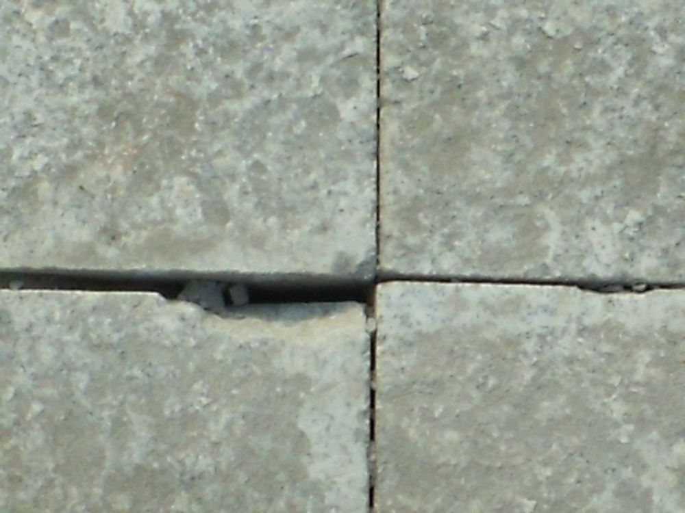 DSCF4002.JPG