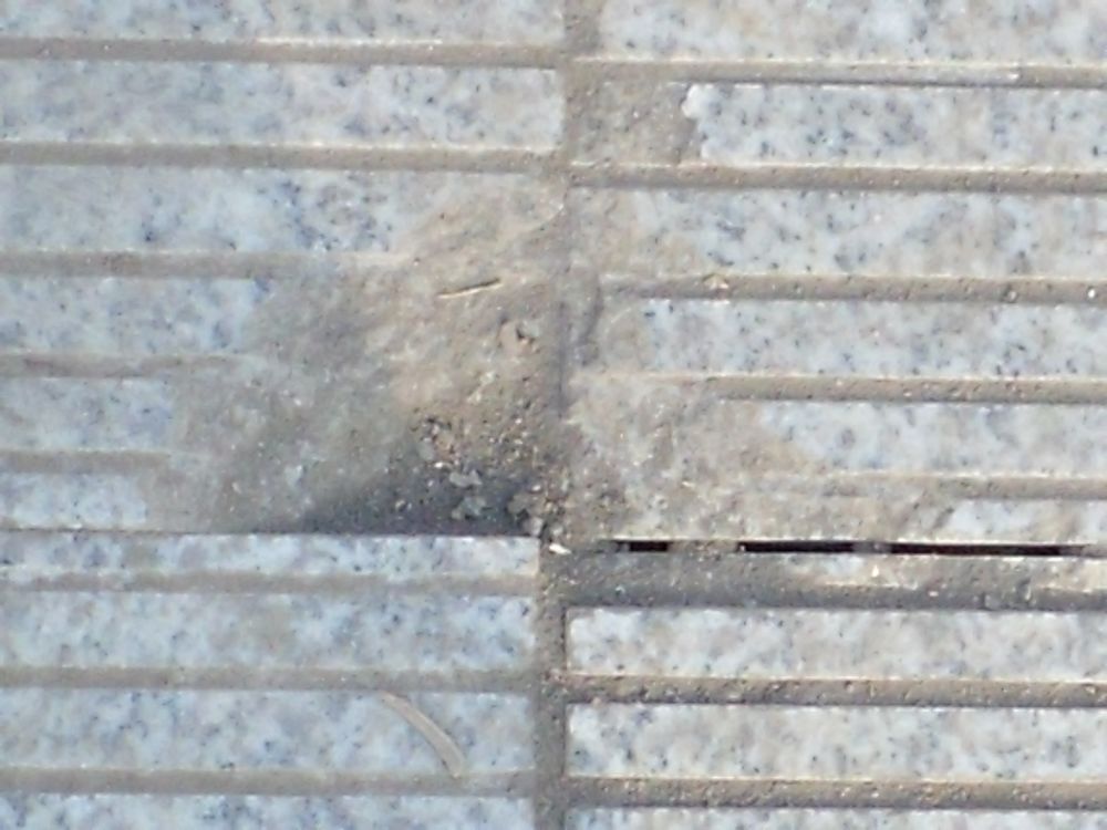 DSCF4012.JPG