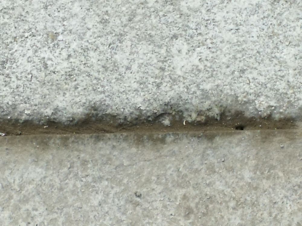 DSCF4019.JPG
