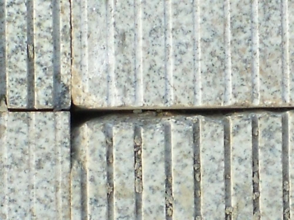DSCF4026.JPG