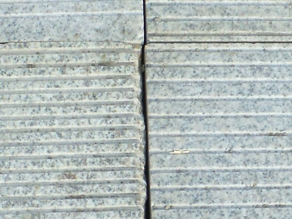 DSCF4022.JPG