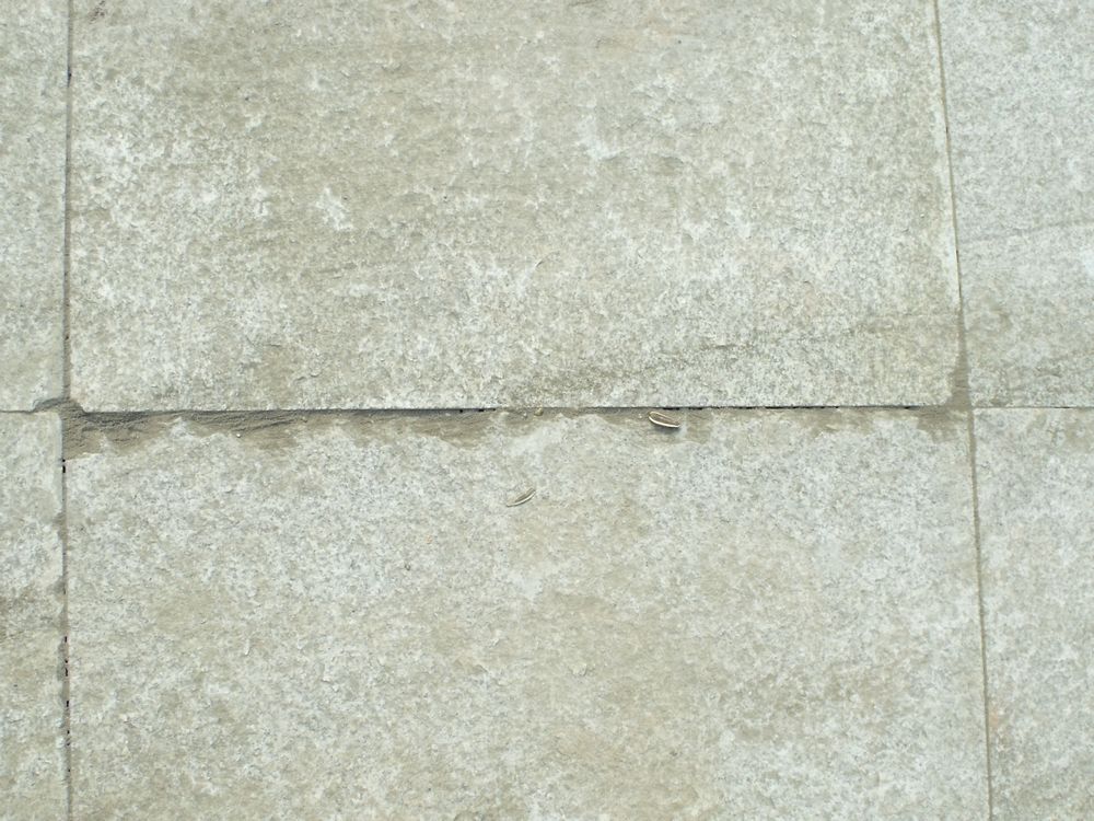 DSCF4028.JPG