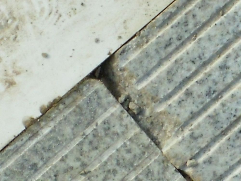 DSCF4027.JPG