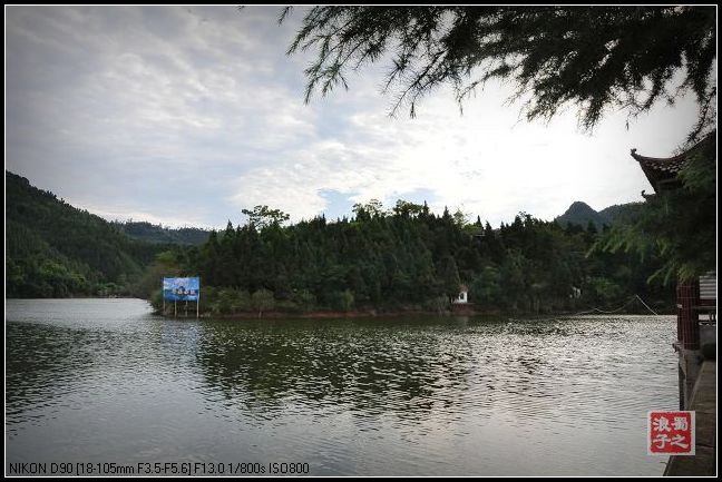 ڼյ 1316.jpg