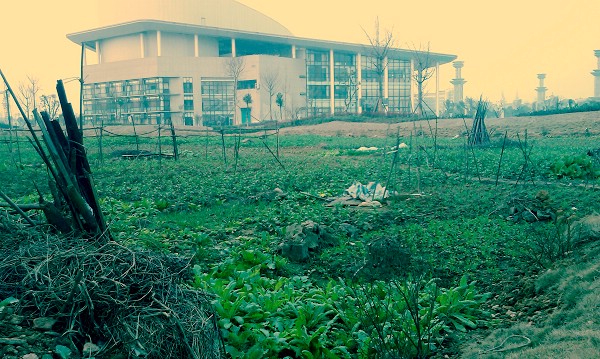 IMAG0066.jpg