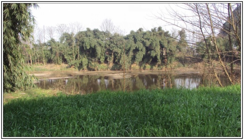 conew_conew_dsc01684.jpg