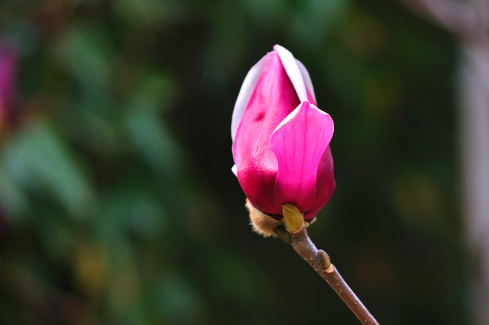 DSC_0307.jpg