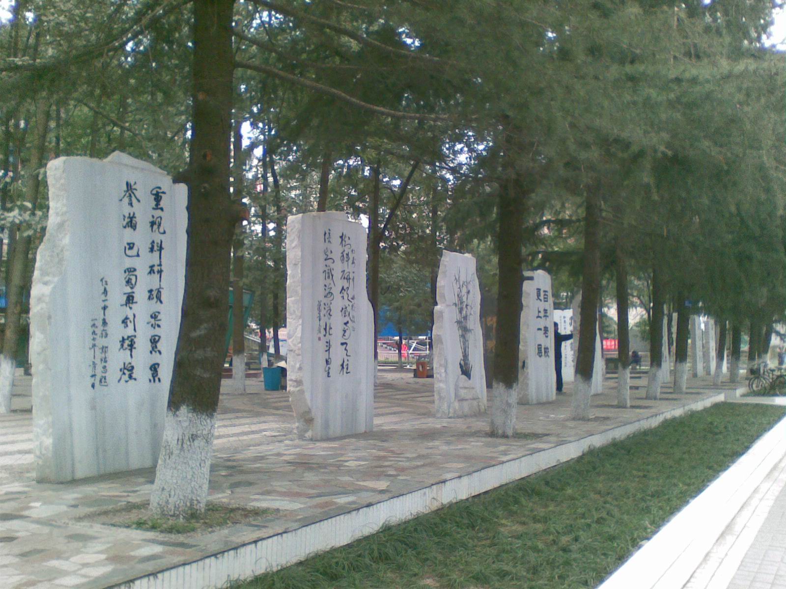 ͼ207.jpg