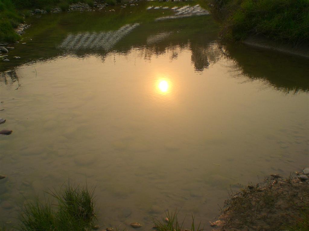 CIMG2301 ().JPG