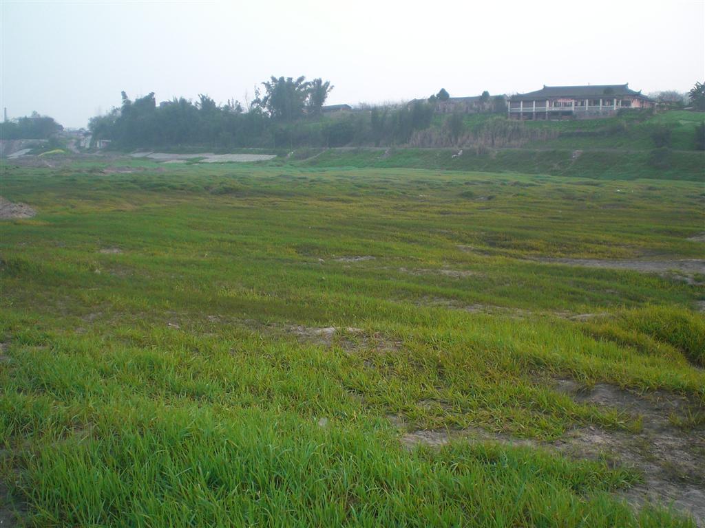 CIMG2302 ().JPG