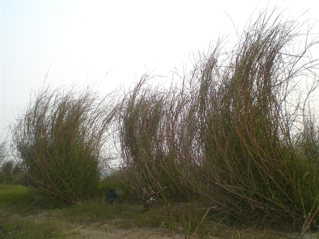 CIMG2318 ().JPG