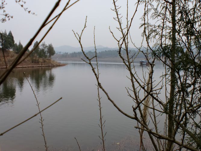 CIMG0428.jpg