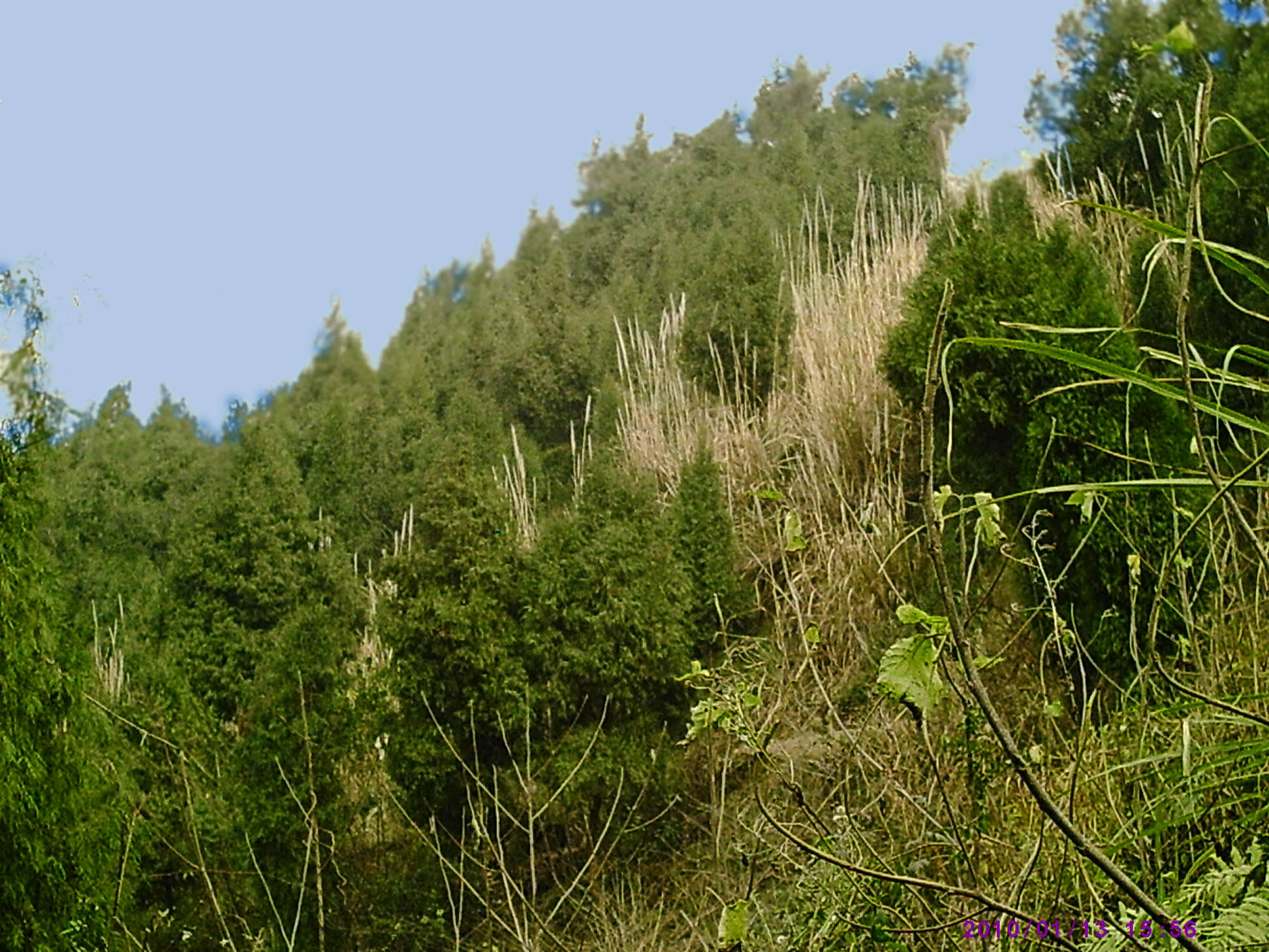 PIC00022.JPG