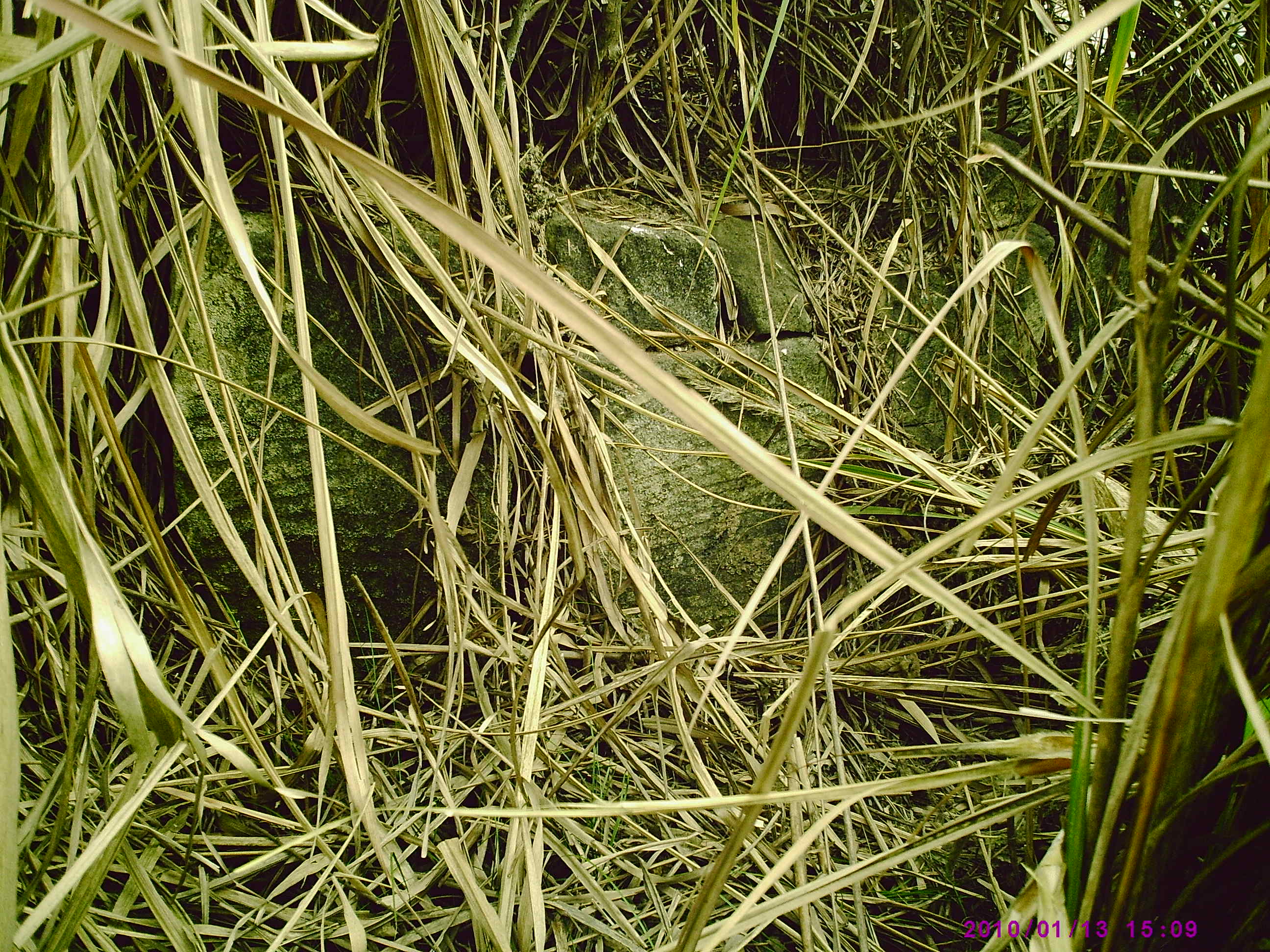 PIC00005.JPG