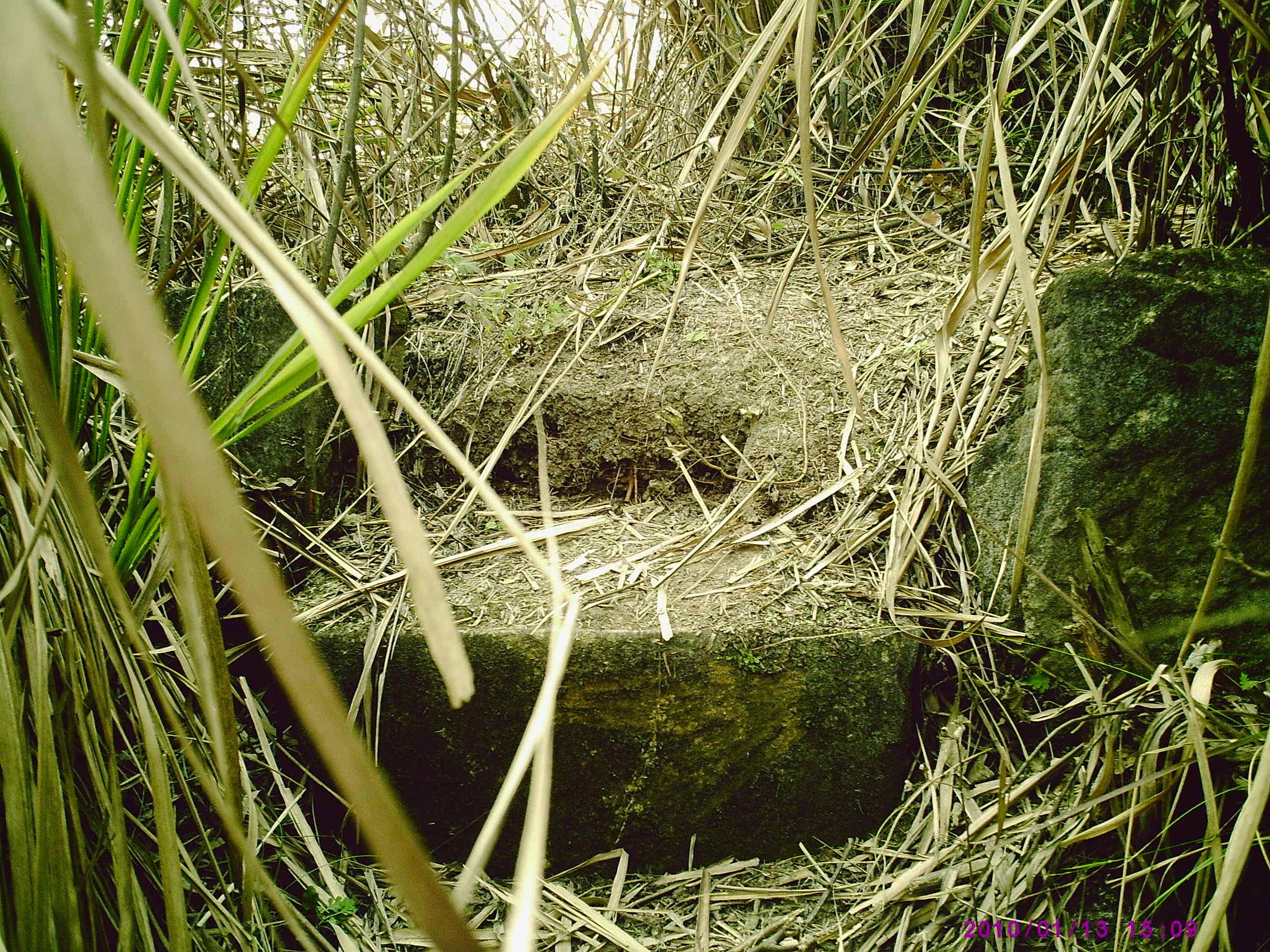 PIC00006.JPG