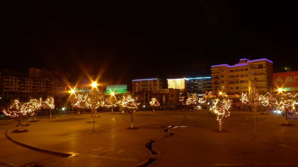 P1040625.jpg