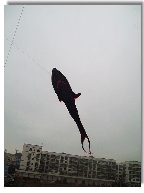 Ƭ 059.jpg