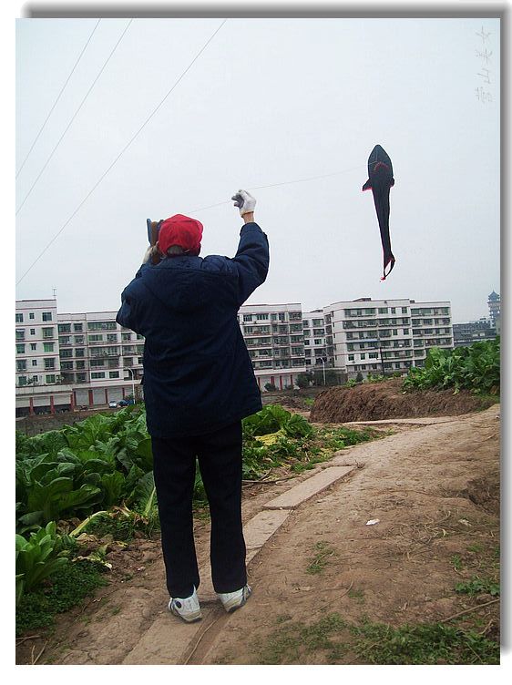 Ƭ 058.jpg