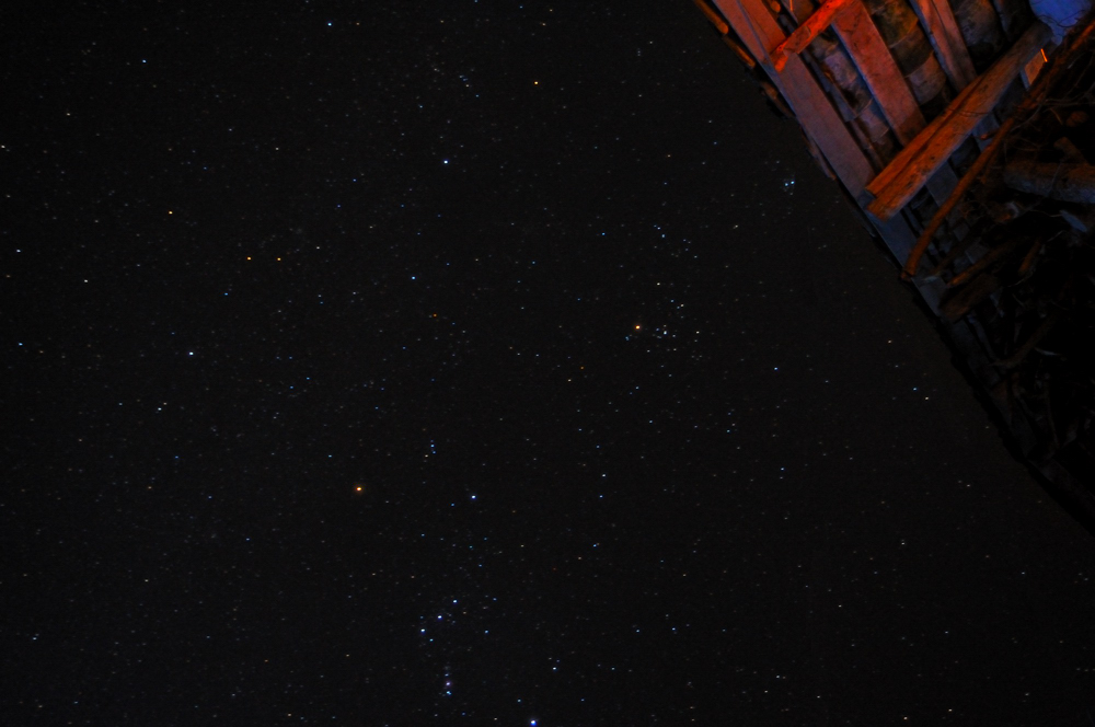 DSC_0438.jpg