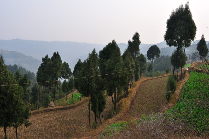 DSC_0426.jpg