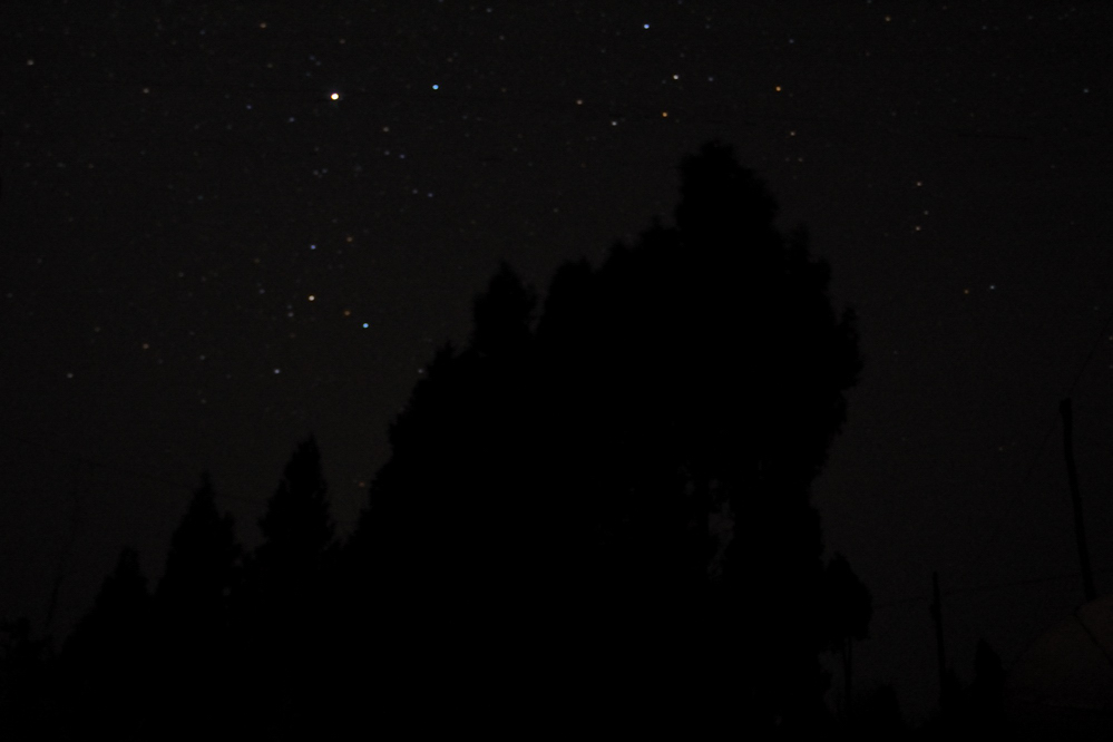 DSC_0437.jpg