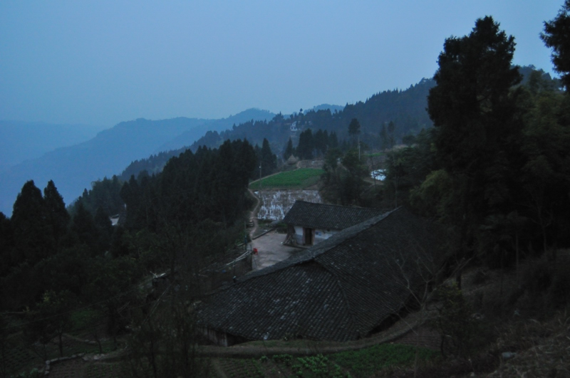 DSC_0442.jpg
