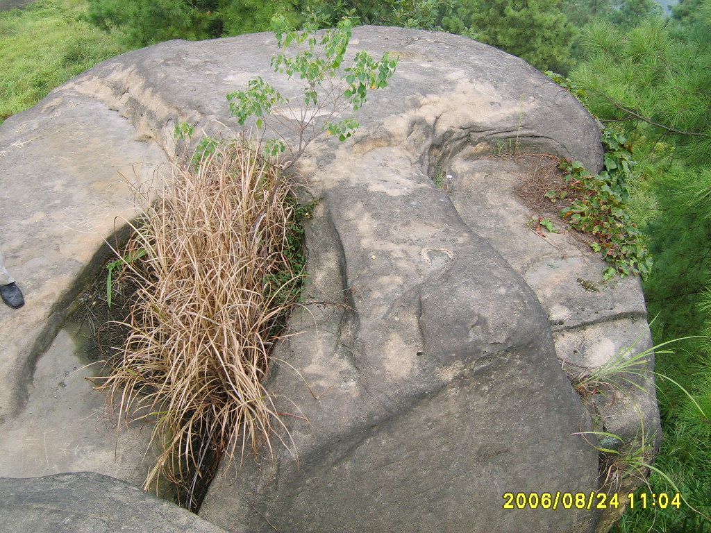 S5000196.JPG