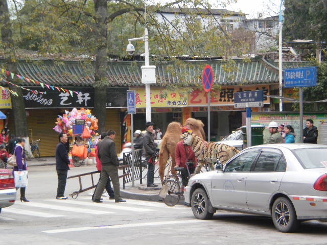 P1130643.JPG
