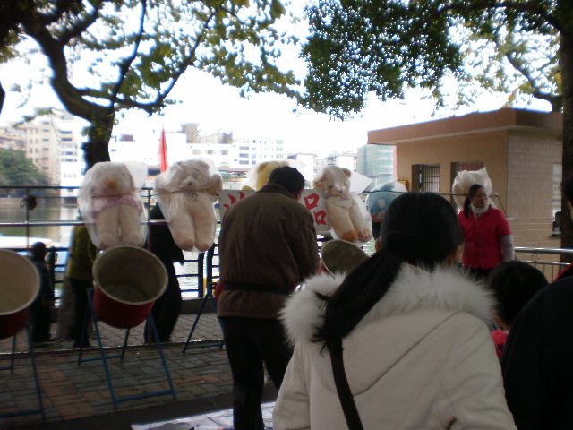 P1130654.JPG