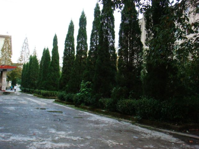 ŵúİ