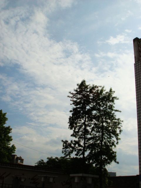 1717278832912563525.jpg