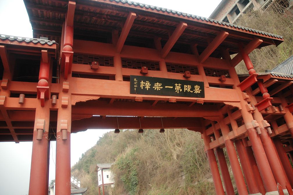2010217 051.jpg