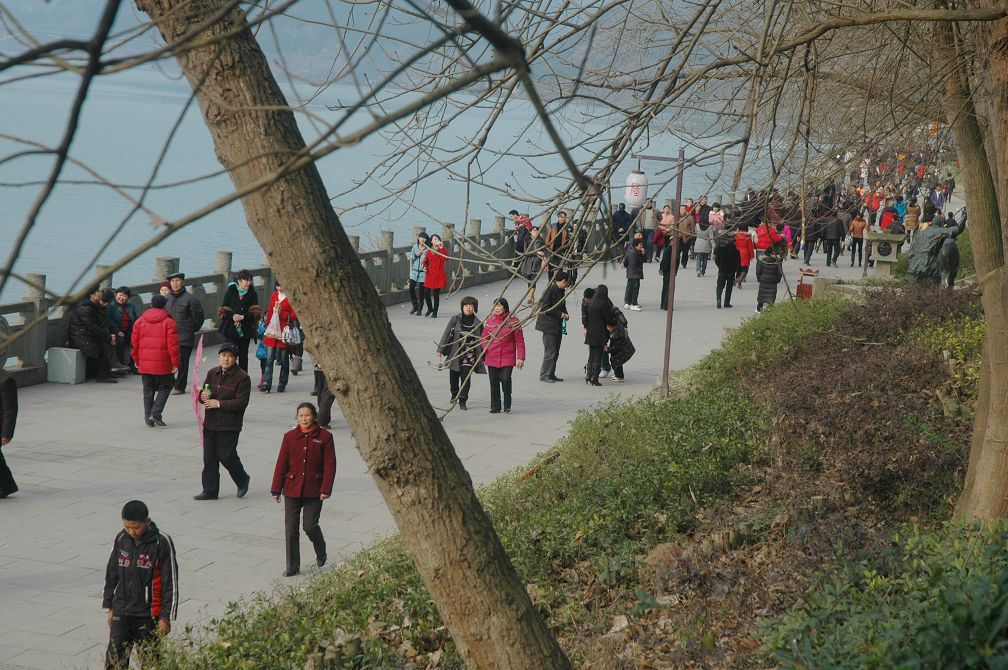 2010217 172.jpg