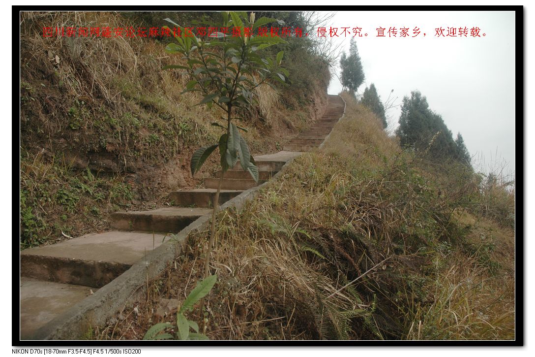 2010217 172.jpg