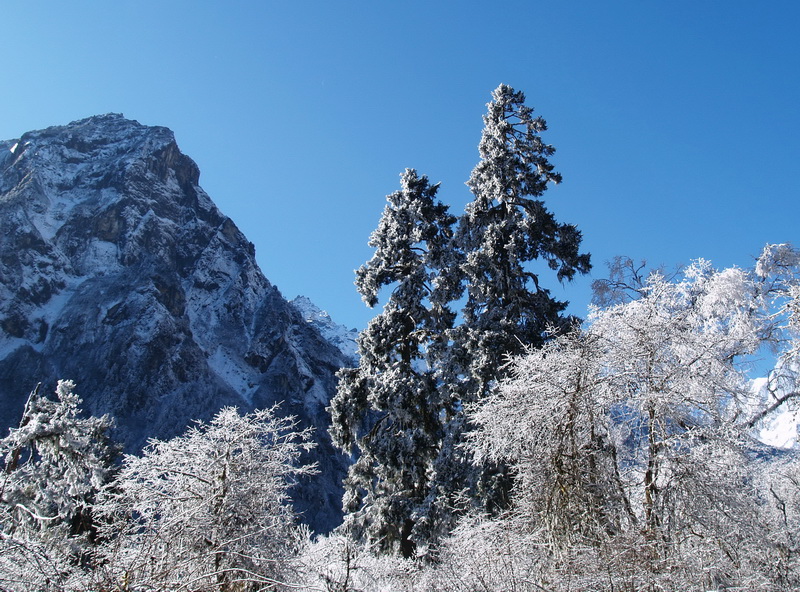 20080109_235ec30edf74a97d7af44PZoBtiltGEl.jpg